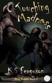 Touching Madness (eBook, ePUB)