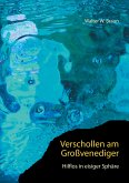 Verschollen am Großvenediger (eBook, ePUB)