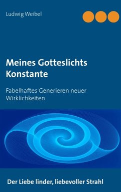 Meines Gotteslichts Konstante (eBook, ePUB) - Weibel, Ludwig