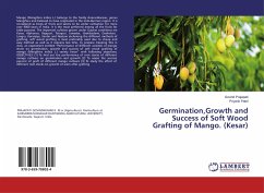 Germination,Growth and Success of Soft Wood Grafting of Mango. (Kesar)