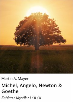 Michel, Angelo, Newton & Goethe (eBook, ePUB) - Mayer, Martin A.