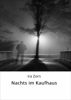 Nachts im Kaufhaus (eBook, ePUB) - Zorn, Ira