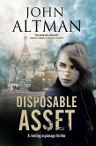 Disposable Asset Disposable Asset