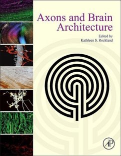 Axons and Brain Architecture