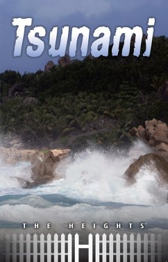 Cover Tsunami (eBook, ePUB)