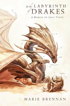 Cover In the Labyrinth of Drakes (eBook, ePUB)
