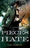 Pieces of Hate (eBook, ePUB)