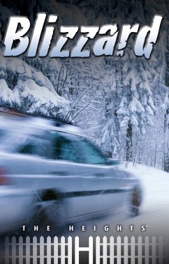 Cover Blizzard (eBook, ePUB)