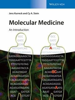 Molecular Medicine (eBook, PDF) - Kurreck, Jens; Stein, Cy Aaron