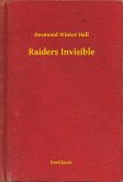 Raiders Invisible (eBook, ePUB)