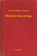 What the Moon Brings (eBook, ePUB) - Bild 1
