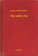 The Safety Pin (eBook, ePUB) - Bild 1
