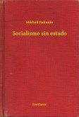 Socialismo sin estado (eBook, ePUB)