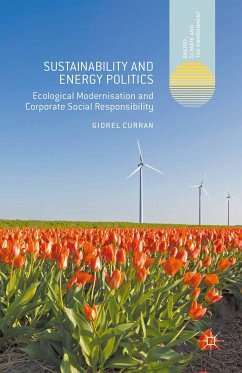 Sustainability and Energy Politics (eBook, PDF) - Curran, Giorel