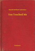 You Touched Me (eBook, ePUB)