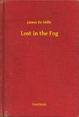 Lost in the Fog (eBook, ePUB)