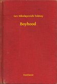 Boyhood (eBook, ePUB)