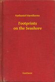 Footprints on the Seashore (eBook, ePUB)