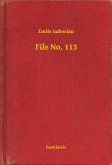 File No. 113 (eBook, ePUB)