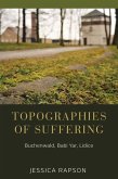Topographies of Suffering (eBook, ePUB)