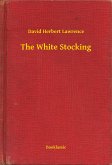 The White Stocking (eBook, ePUB)