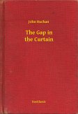 The Gap in the Curtain (eBook, ePUB) The Gap in the Curtain (eBook, ePUB)
