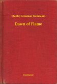 Dawn of Flame (eBook, ePUB)