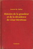 Histoire de la grandeur et de la décadence de César Birotteau (eBook, ePUB)