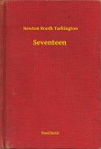 Seventeen (eBook, ePUB)