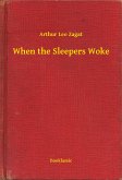 When the Sleepers Woke (eBook, ePUB)