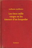 Les Onze mille verges ou les Amours d'un hospodar (eBook, ePUB)