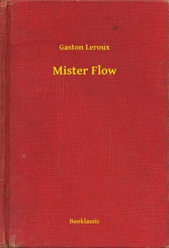Cover Mister Flow (eBook, ePUB)