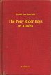 The Pony Rider Boys in Alaska (eBook,... - Bild 1