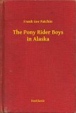 The Pony Rider Boys in Alaska (eBook, ePUB)