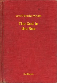 Cover The God in the Box (eBook, ePUB)