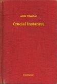 Crucial Instances (eBook, ePUB)