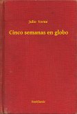 Cinco semanas en globo (eBook, ePUB)