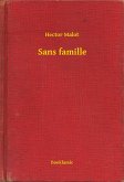 Sans famille (eBook, ePUB)