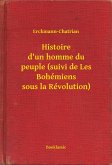 Histoire d'un homme du peuple (suivi de Les Bohémiens sous la Révolution) (eBook, ePUB)