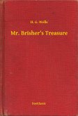 Mr. Brisher's Treasure (eBook, ePUB)