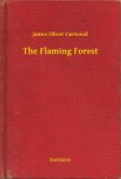 The Flaming Forest (eBook, ePUB)