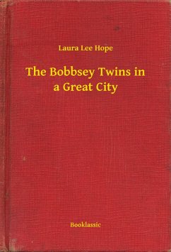 Cover The Bobbsey Twins in a Great City (eBook, ePUB)