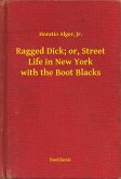 Ragged Dick; or, Street Life in New York with the Boot Blacks (eBook, ePUB)