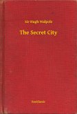 The Secret City (eBook, ePUB)