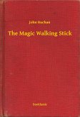 The Magic Walking Stick (eBook, ePUB)