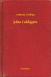 John Caldigate (eBook, ePUB) - Bild 1