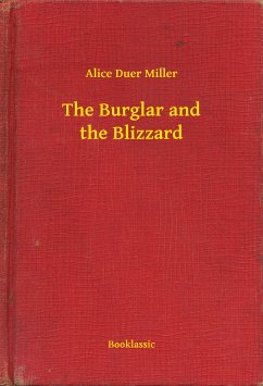The Burglar and the Blizzard (eBook, ePUB) - Miller, Alice Duer