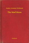 The Mad Moon (eBook, ePUB)