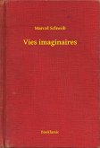Vies imaginaires (eBook, ePUB)