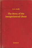 The Story of the Inexperienced Ghost (eBook, ePUB)